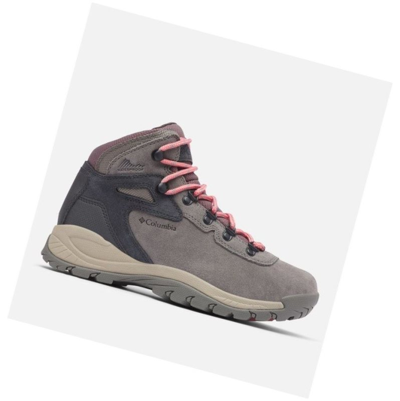 Columbia Newton Ridge Plus Waterproof Amped Yürüyüş Botu Kadın Pembe | 95641-VJGA