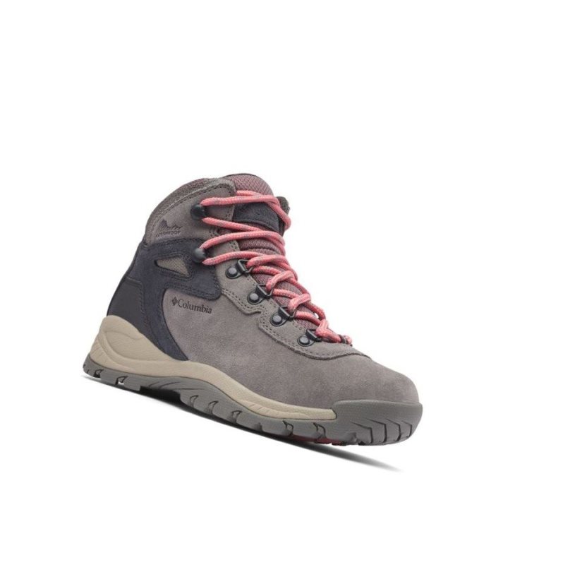 Columbia Newton Ridge Plus Waterproof Amped Wide Yürüyüş Botu Kadın Pembe | 49685-BNDU