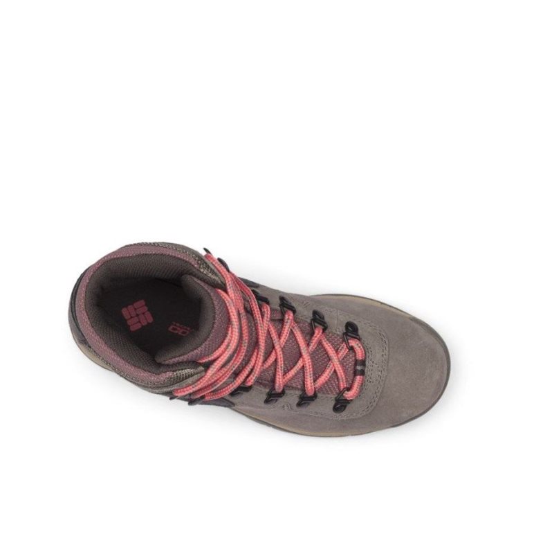 Columbia Newton Ridge Plus Waterproof Amped Wide Yürüyüş Botu Kadın Pembe | 49685-BNDU