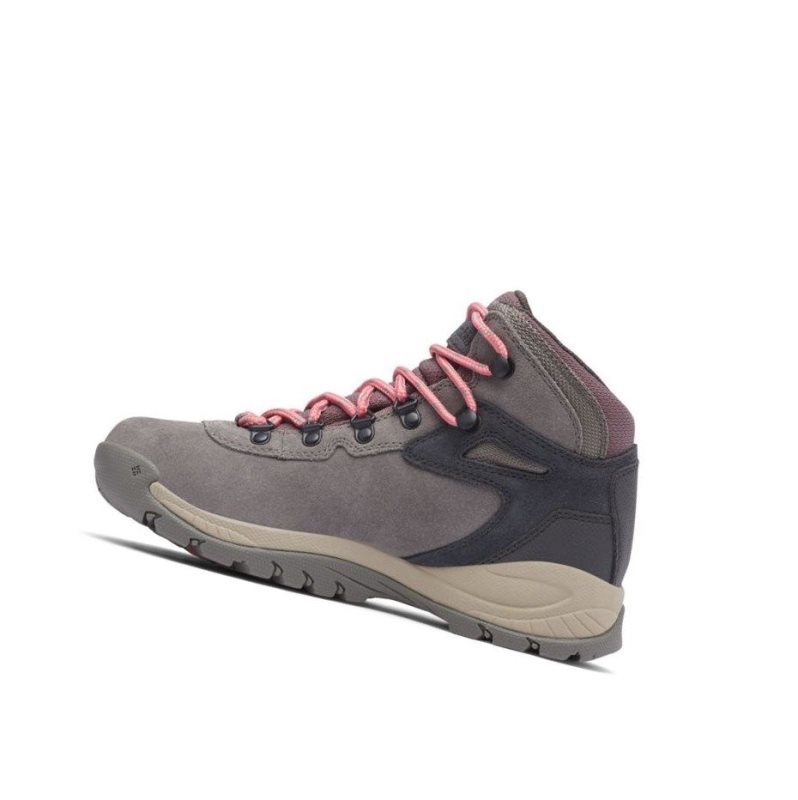 Columbia Newton Ridge Plus Waterproof Amped Wide Yürüyüş Botu Kadın Pembe | 49685-BNDU
