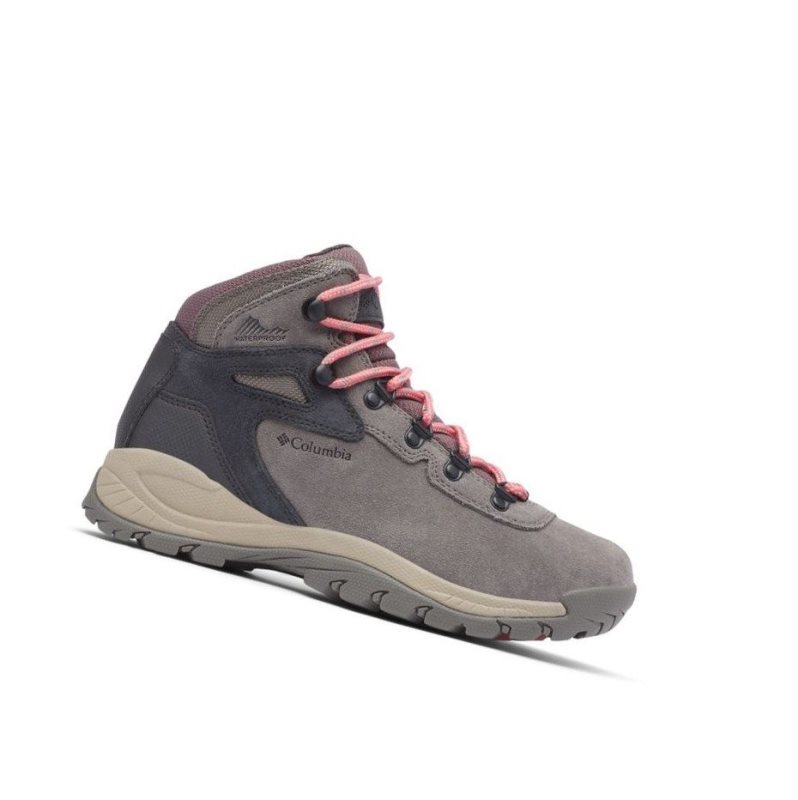 Columbia Newton Ridge Plus Waterproof Amped Wide Yürüyüş Botu Kadın Pembe | 49685-BNDU