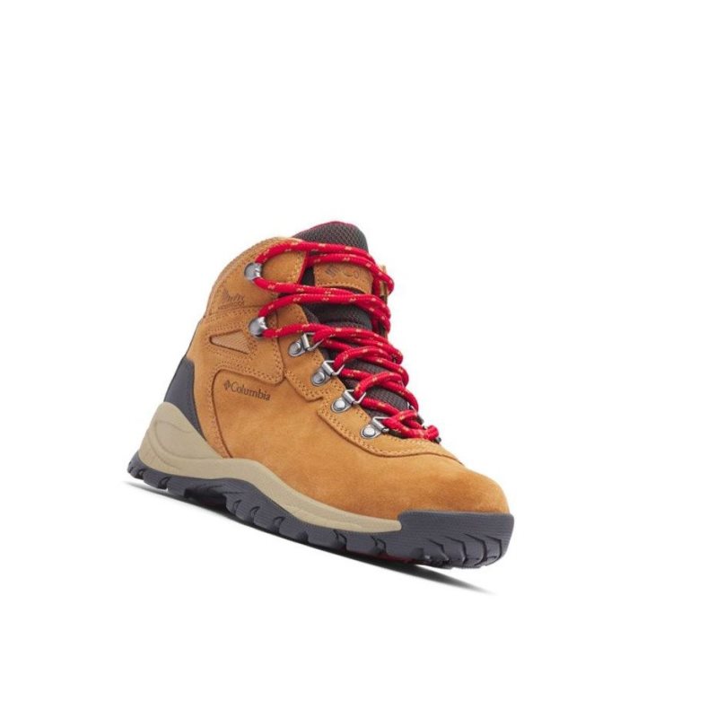 Columbia Newton Ridge Plus Waterproof Amped Wide Yürüyüş Botu Kadın Mavi Kırmızı | 38592-YSZO