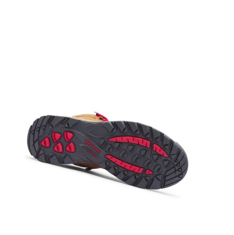 Columbia Newton Ridge Plus Waterproof Amped Wide Yürüyüş Botu Kadın Mavi Kırmızı | 38592-YSZO