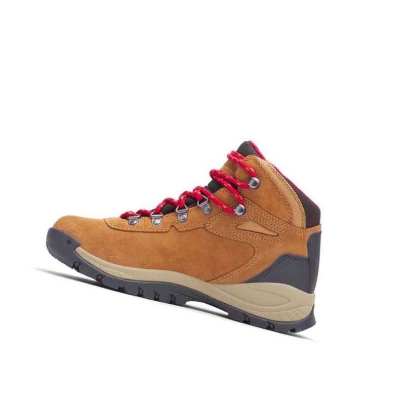 Columbia Newton Ridge Plus Waterproof Amped Wide Yürüyüş Botu Kadın Mavi Kırmızı | 38592-YSZO
