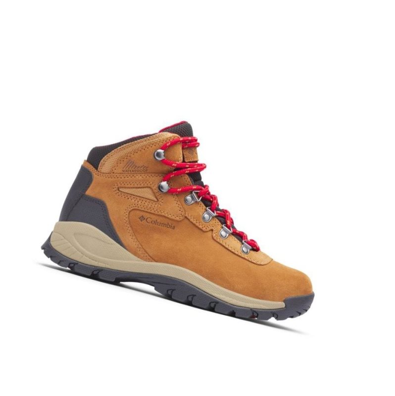 Columbia Newton Ridge Plus Waterproof Amped Wide Yürüyüş Botu Kadın Mavi Kırmızı | 38592-YSZO