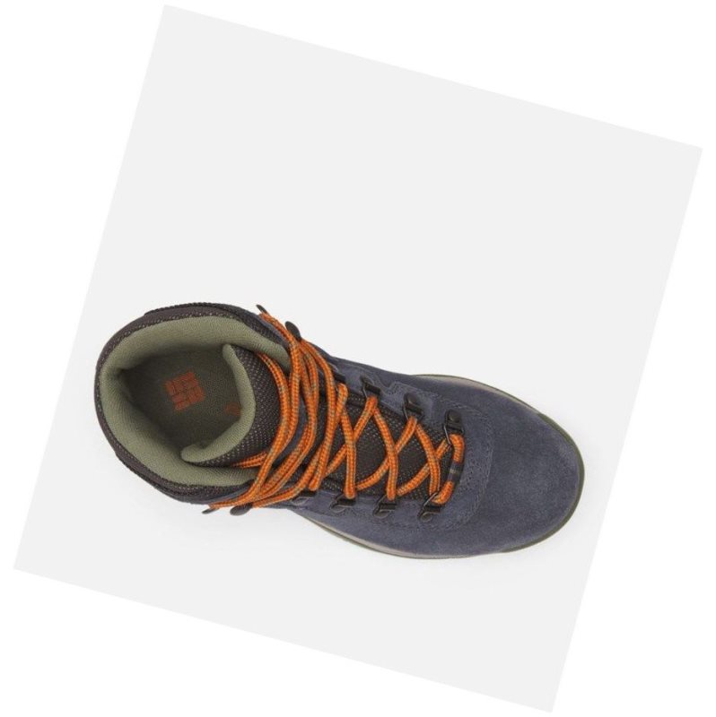 Columbia Newton Ridge Plus Waterproof Amped Wide Yürüyüş Botu Kadın Koyu Gri Yeşil | 91375-AJSX