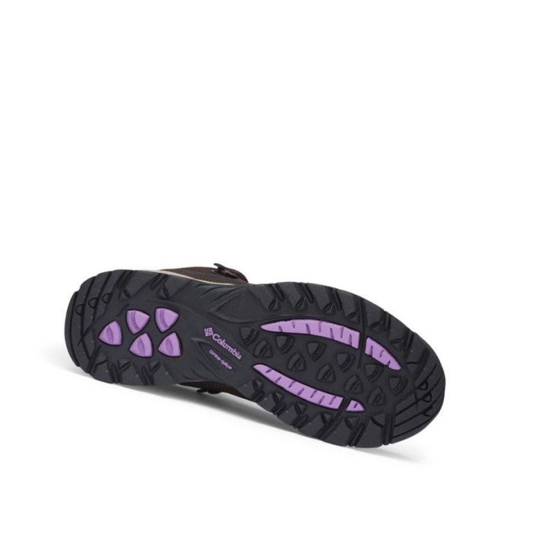Columbia Newton Ridge Plus Waterproof Yürüyüş Botu Kadın Koyu Kahverengi | 53728-TYXJ