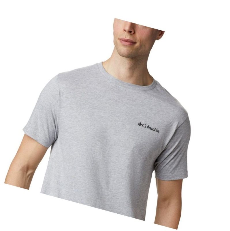 Columbia Oak Tişört Erkek Gri | 68432-LIRP