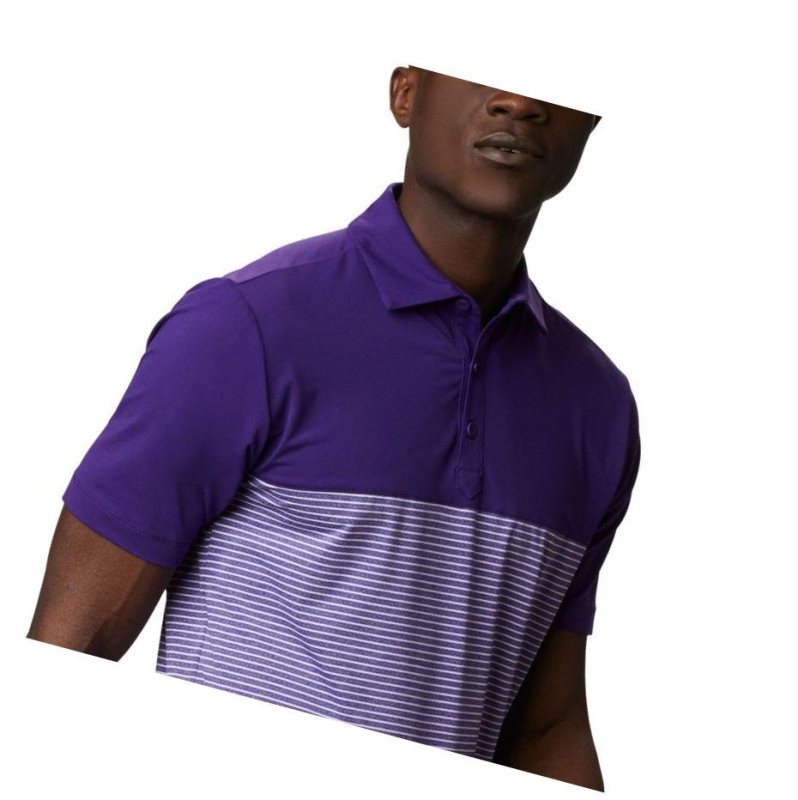 Columbia Omni-Wick Stacked Polo Gömlek Erkek Mor | 60539-HBXR