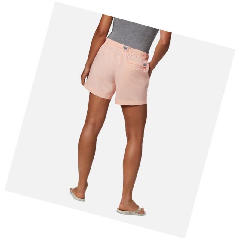 Columbia PFG Backcast Water Şort Kadın Pembe | 73062-KQXA