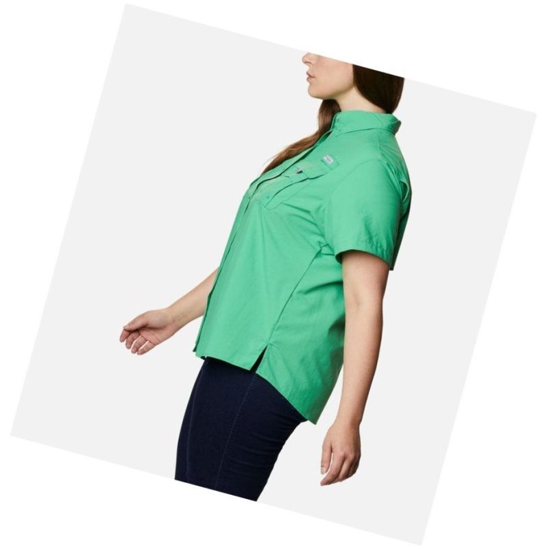 Columbia PFG Bahama Short Sleeve Plus Size Gömlek Kadın Turkuaz | 75146-RYSU