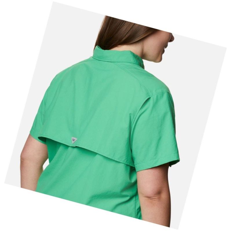 Columbia PFG Bahama Short Sleeve Plus Size Gömlek Kadın Turkuaz | 75146-RYSU