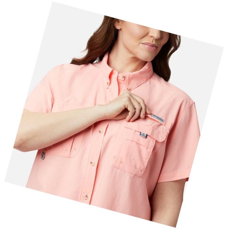 Columbia PFG Bahama Short Sleeve Plus Size Gömlek Kadın Pembe | 73506-WMDF