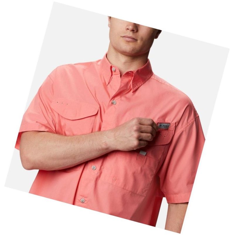 Columbia PFG Bonehead Short Sleeve Gömlek Erkek Pembe | 01284-OCHV