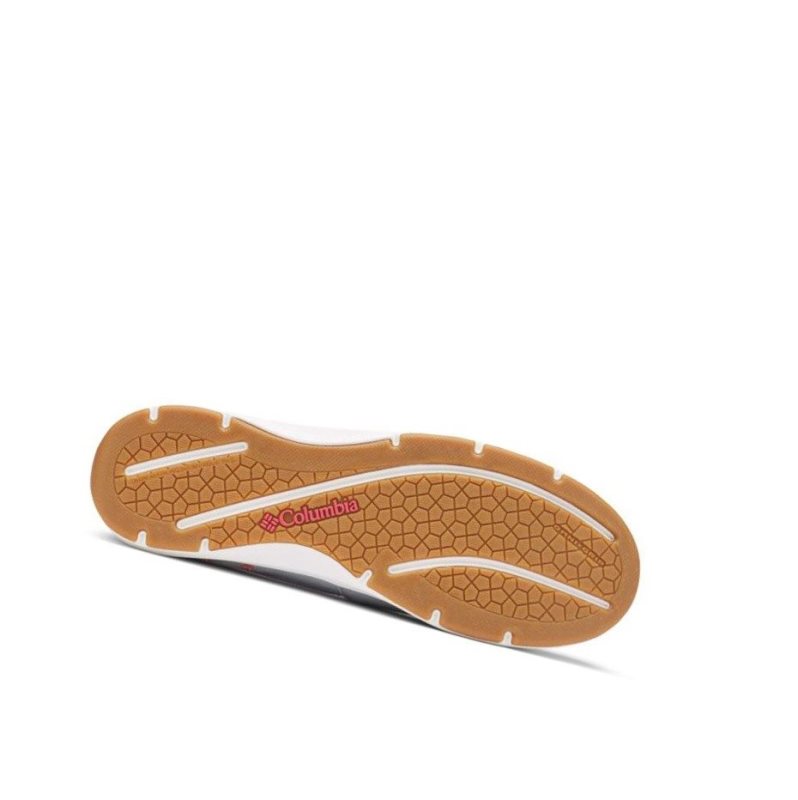 Columbia PFG Delray II Slip Spor Ayakkabı Kadın Gri Mavi | 13057-XDLN