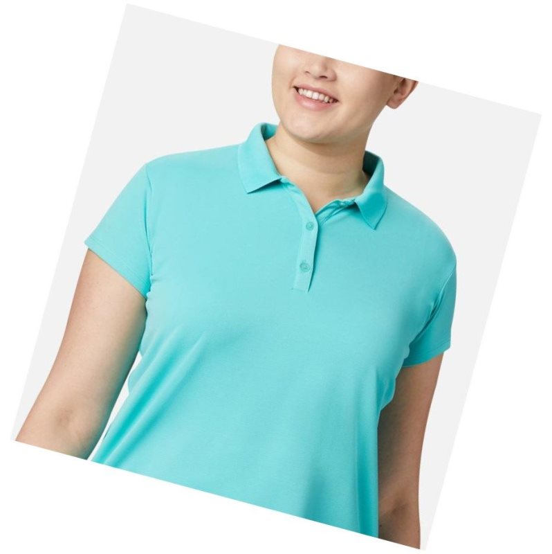 Columbia PFG Innisfree Short Sleeve Plus Size Polo Gömlek Kadın Mavi | 20614-IOHZ