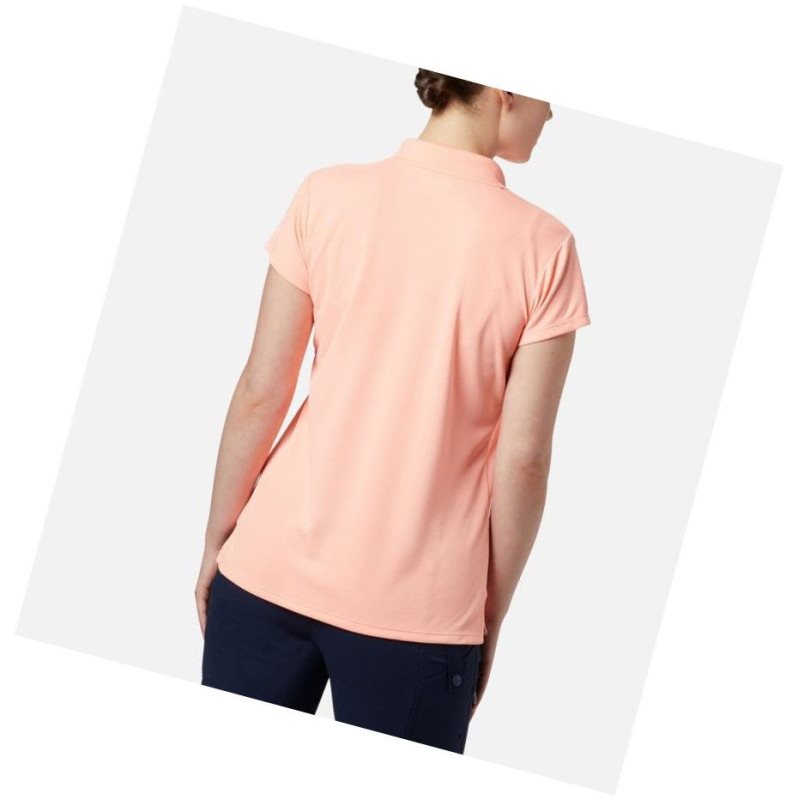 Columbia PFG Innisfree Short Sleeve Polo Gömlek Kadın Pembe | 91586-TCES