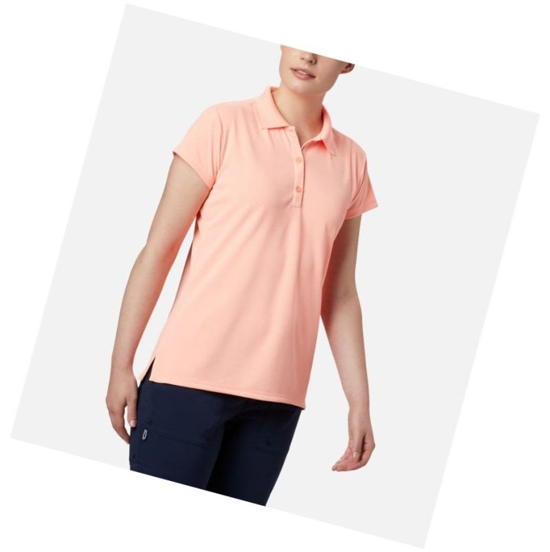Columbia PFG Innisfree Short Sleeve Polo Gömlek Kadın Pembe | 91586-TCES
