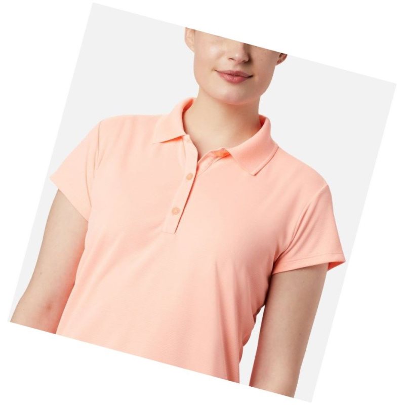 Columbia PFG Innisfree Short Sleeve Polo Gömlek Kadın Pembe | 91586-TCES