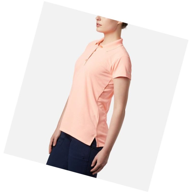 Columbia PFG Innisfree Short Sleeve Polo Gömlek Kadın Pembe | 91586-TCES