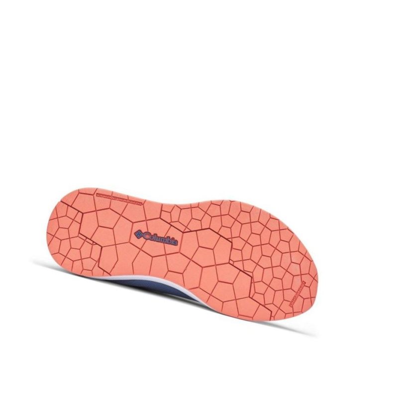 Columbia PFG Low Drag Spor Ayakkabı Kadın Mavi | 95431-EWOP