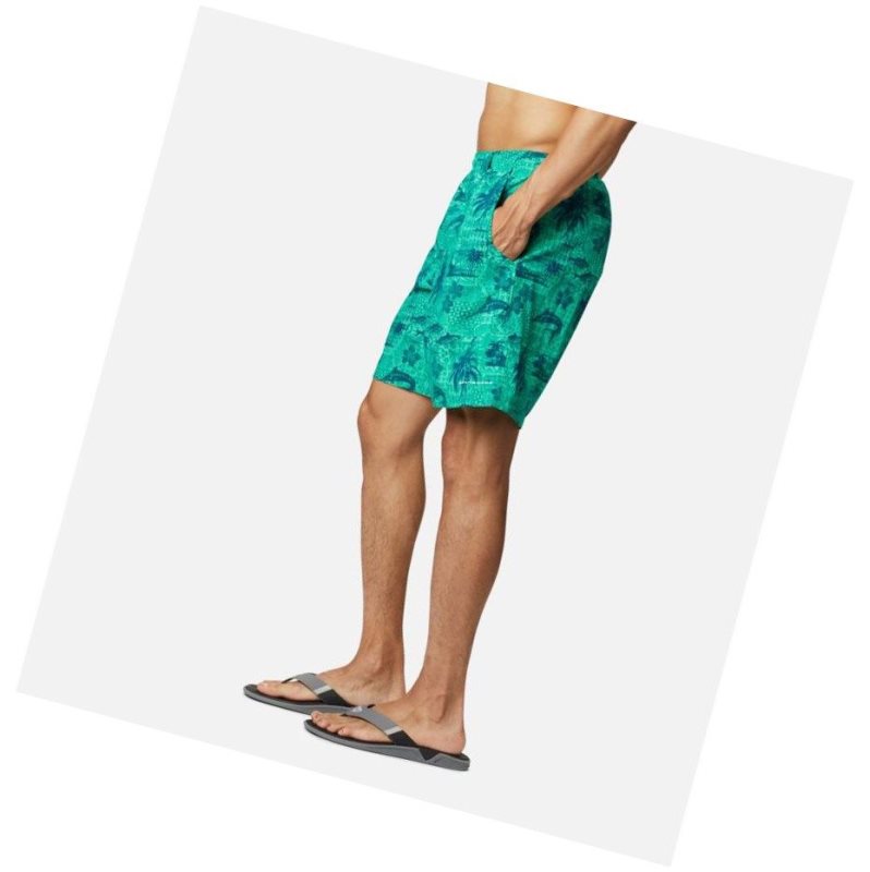 Columbia PFG Super Backcast Water Şort Erkek Yeşil | 25187-CLEA