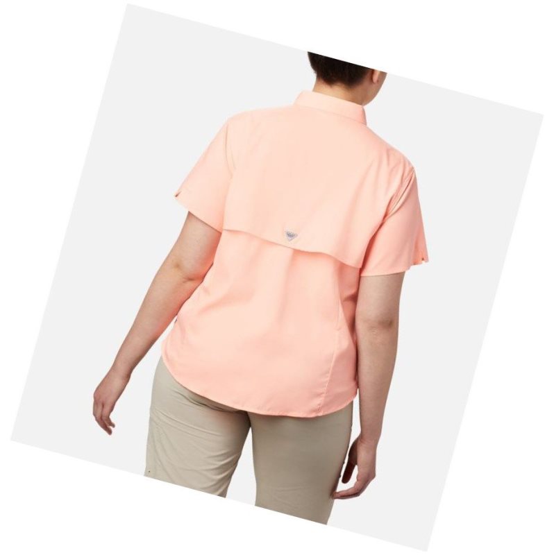 Columbia PFG Tamiami II Short Sleeve Plus Size Gömlek Kadın Pembe | 30746-RHBJ