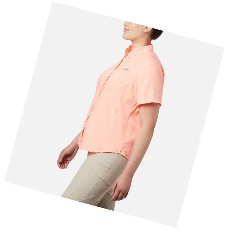 Columbia PFG Tamiami II Short Sleeve Plus Size Gömlek Kadın Pembe | 30746-RHBJ