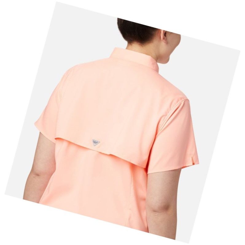 Columbia PFG Tamiami II Short Sleeve Plus Size Gömlek Kadın Pembe | 30746-RHBJ
