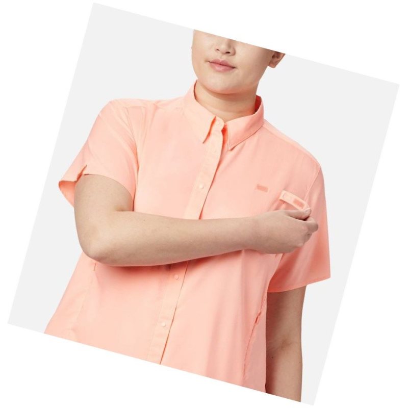 Columbia PFG Tamiami II Short Sleeve Plus Size Gömlek Kadın Pembe | 30746-RHBJ