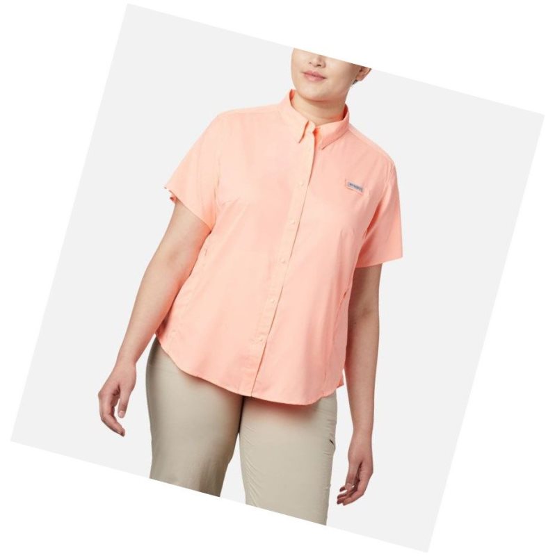 Columbia PFG Tamiami II Short Sleeve Plus Size Gömlek Kadın Pembe | 30746-RHBJ