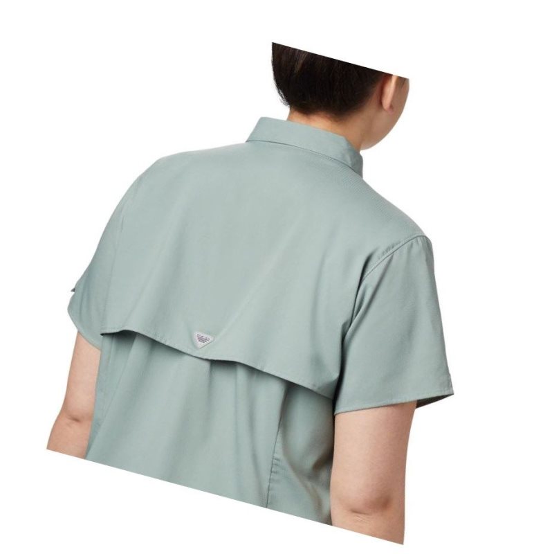 Columbia PFG Tamiami II Short Sleeve Plus Size Gömlek Kadın Açık Yeşil | 09846-FSOK