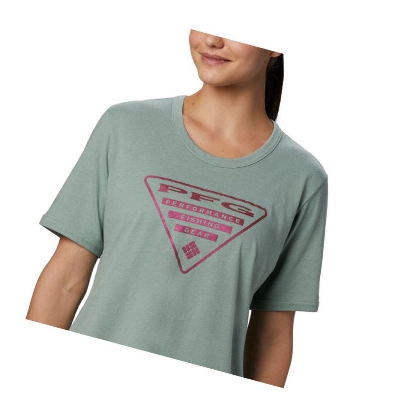 Columbia PFG Triangle Tişört Kadın Pembe | 07526-LORS