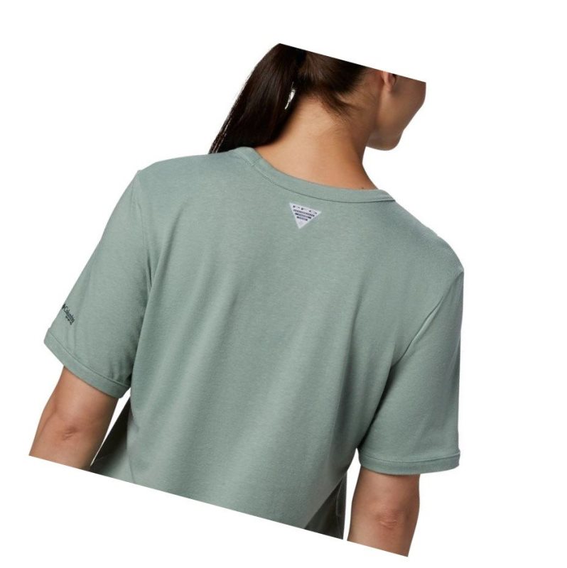 Columbia PFG Triangle Tişört Kadın Pembe | 07526-LORS