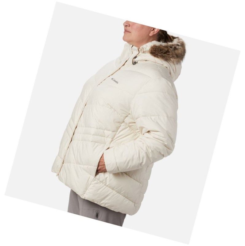 Columbia Peak to Park Insulated Plus Size Mont Kadın Krema | 43017-OCZK