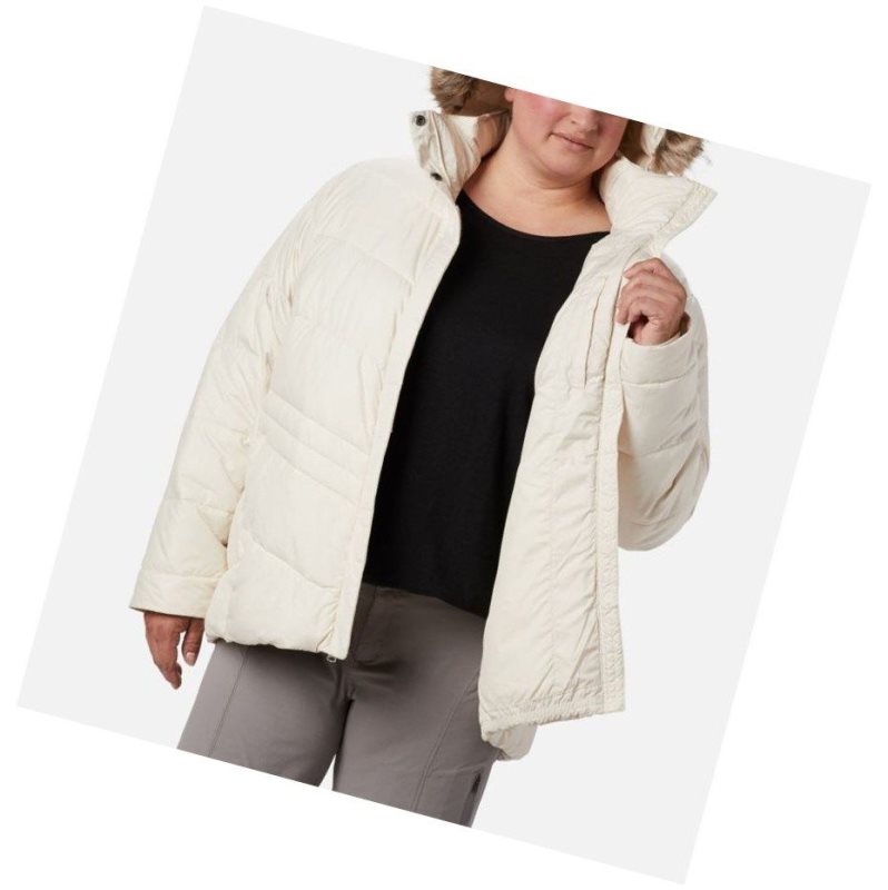 Columbia Peak to Park Insulated Plus Size Mont Kadın Krema | 43017-OCZK