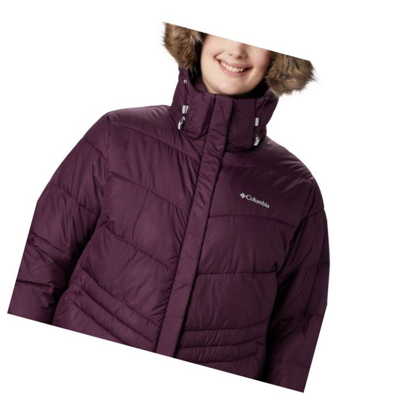 Columbia Peak to Park Insulated Plus Size Mont Kadın Siyah Pembe | 17534-ESUR