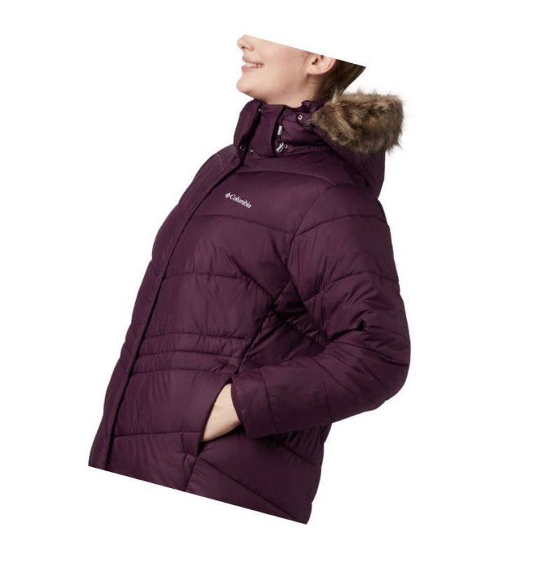 Columbia Peak to Park Insulated Plus Size Mont Kadın Siyah Pembe | 17534-ESUR