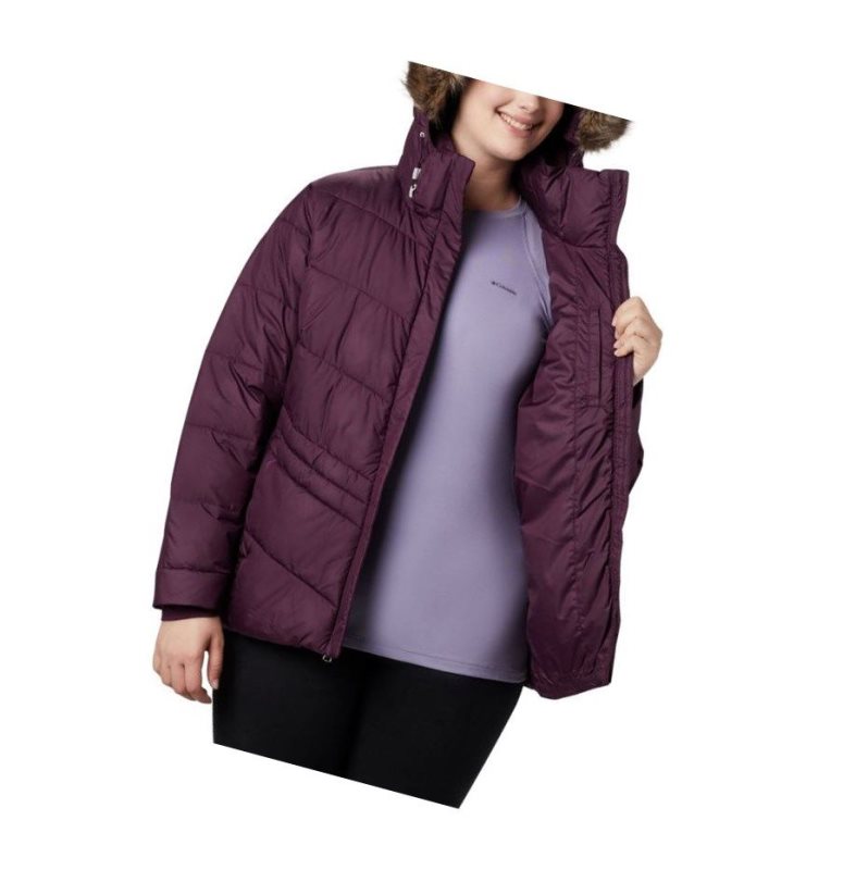 Columbia Peak to Park Insulated Plus Size Mont Kadın Siyah Pembe | 17534-ESUR