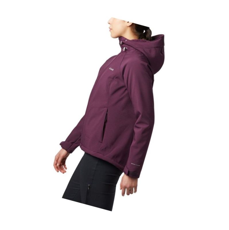 Columbia Phurtec II Softshell Mont Kadın Siyah Pembe | 78963-MZLK