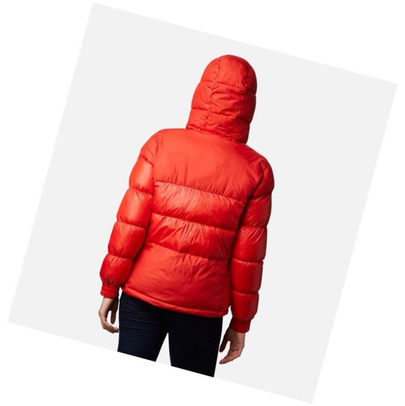 Columbia Pike Lake II Insulated Mont Kadın Turuncu | 26198-XNVC