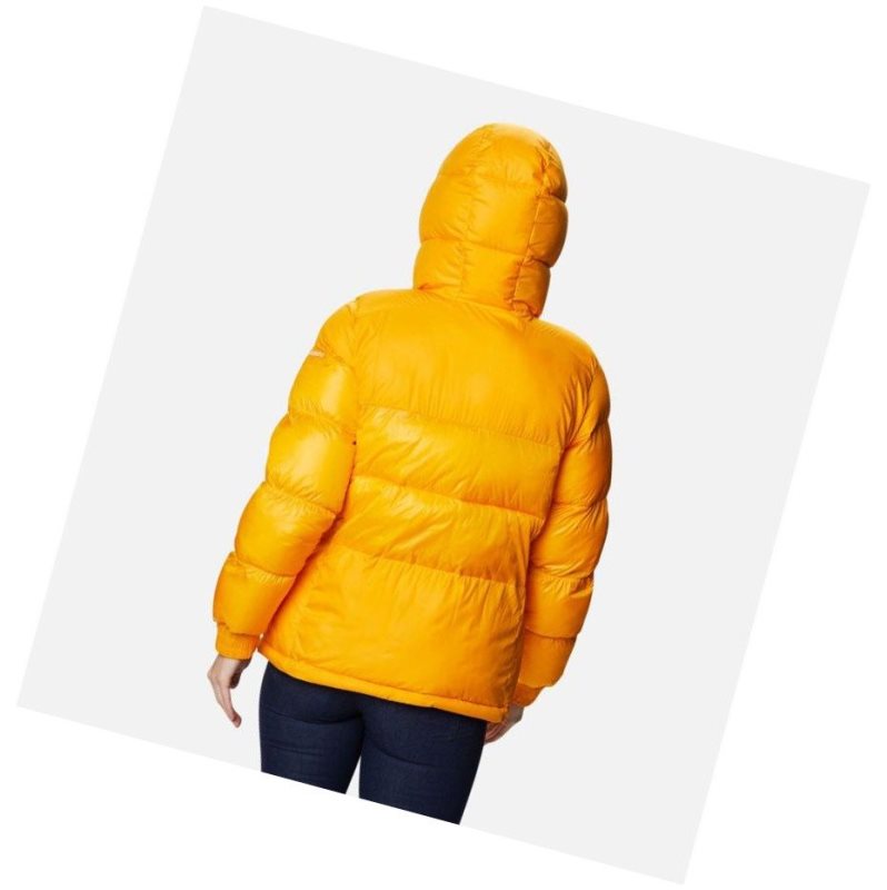 Columbia Pike Lake II Insulated Mont Kadın Açık Altın | 24135-YTDL