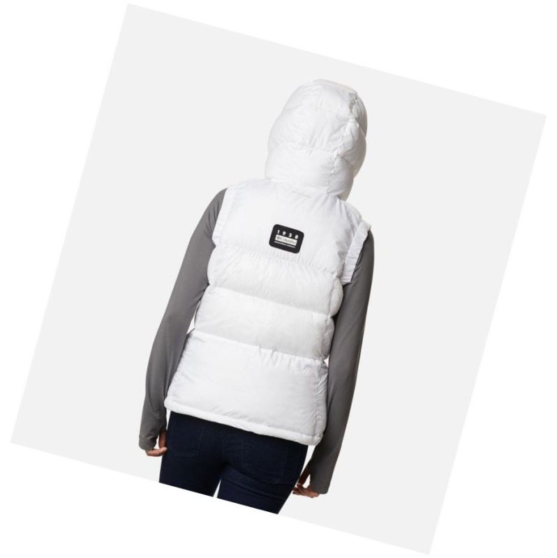 Columbia Pike Lake II Insulated Yelek Kadın Renkli | 57263-BUIT