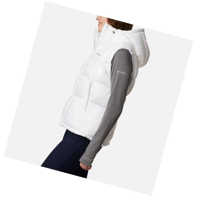 Columbia Pike Lake II Insulated Yelek Kadın Renkli | 57263-BUIT