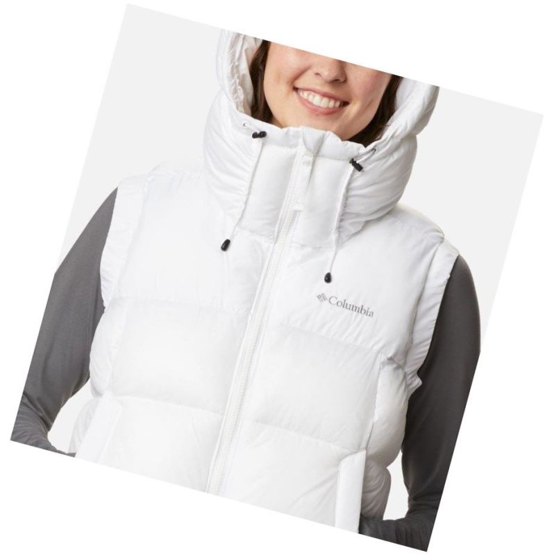 Columbia Pike Lake II Insulated Yelek Kadın Renkli | 57263-BUIT