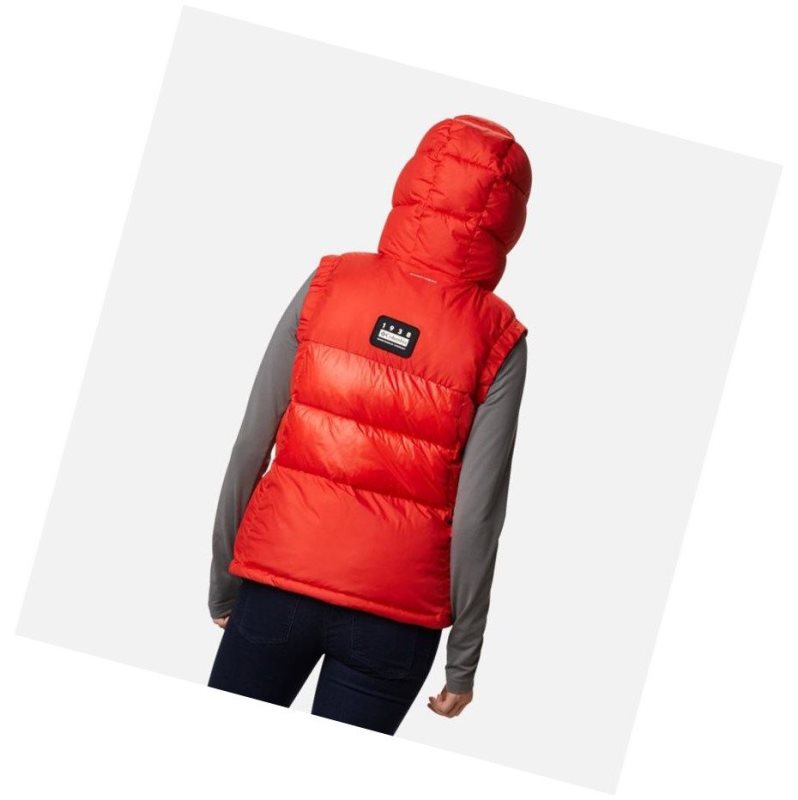 Columbia Pike Lake II Insulated Yelek Kadın Renkli | 95063-AMDB