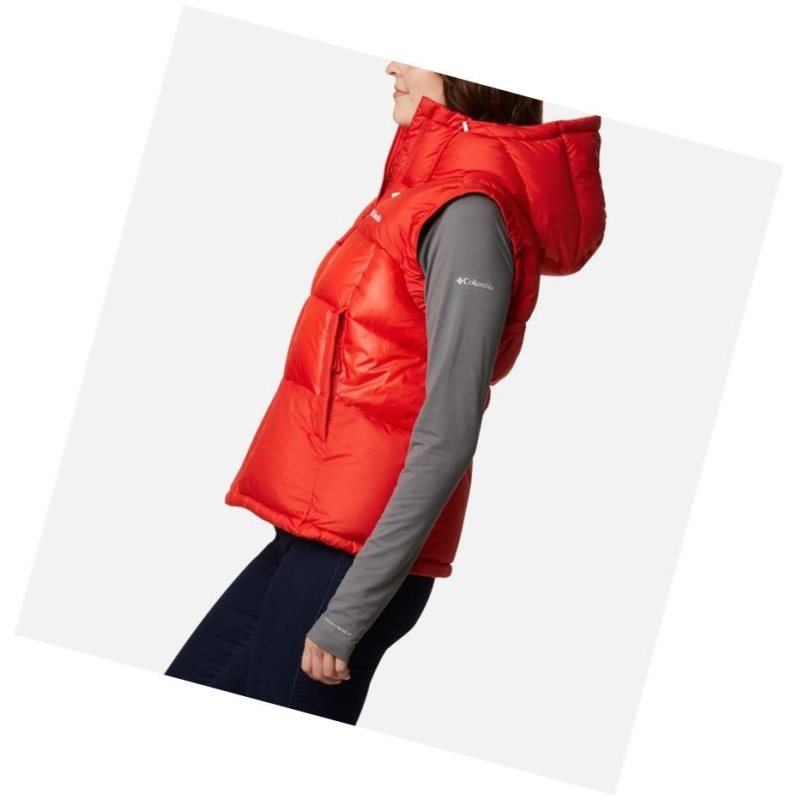 Columbia Pike Lake II Insulated Yelek Kadın Renkli | 95063-AMDB