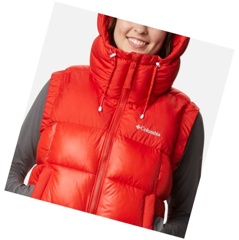 Columbia Pike Lake II Insulated Yelek Kadın Renkli | 95063-AMDB