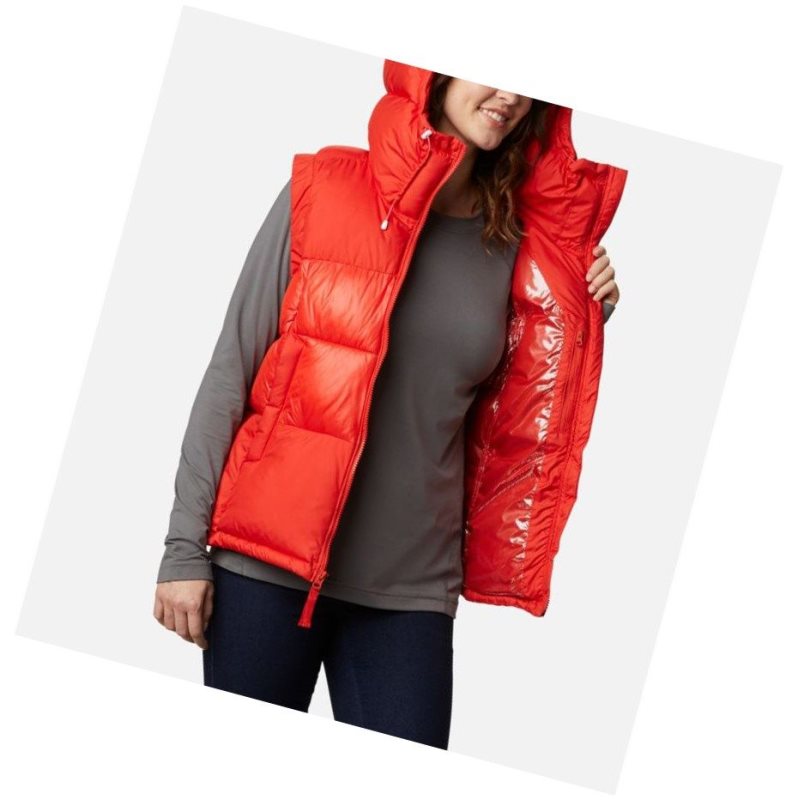 Columbia Pike Lake II Insulated Yelek Kadın Renkli | 95063-AMDB