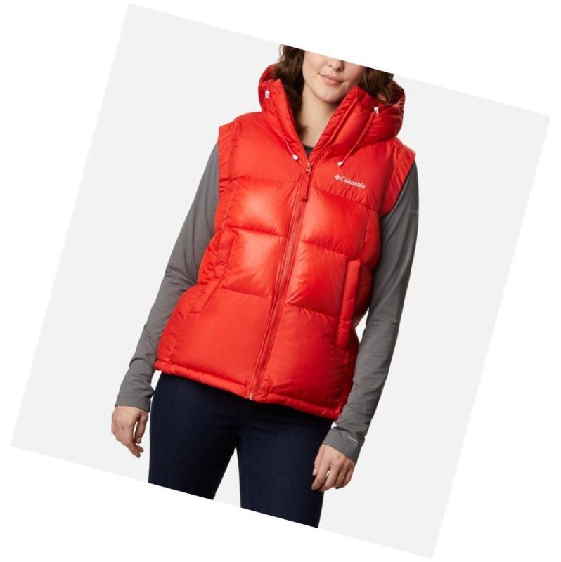 Columbia Pike Lake II Insulated Yelek Kadın Renkli | 95063-AMDB